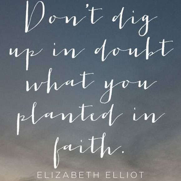 Meet your Posher, Cathy - Picture 1 of 1